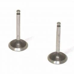 Saito Engines Valve, Intake & Exhaust, Pair: OO, PP, AZ, BO, CC for Parts